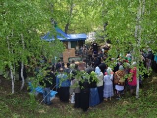 DSC 0650