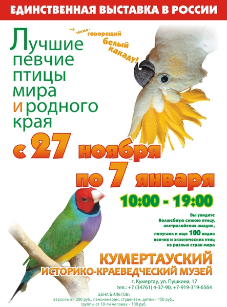 афиша А4 27.11.2017 07.01 1
